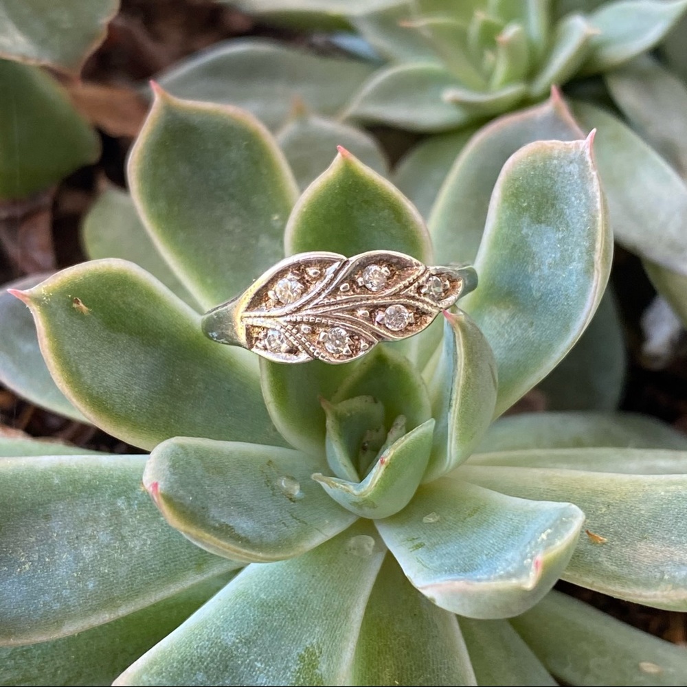 NWOT BR Silver Leaf Ring